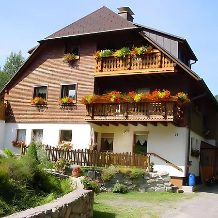 Haus Maria Appartement Todtnau Buitenkant foto