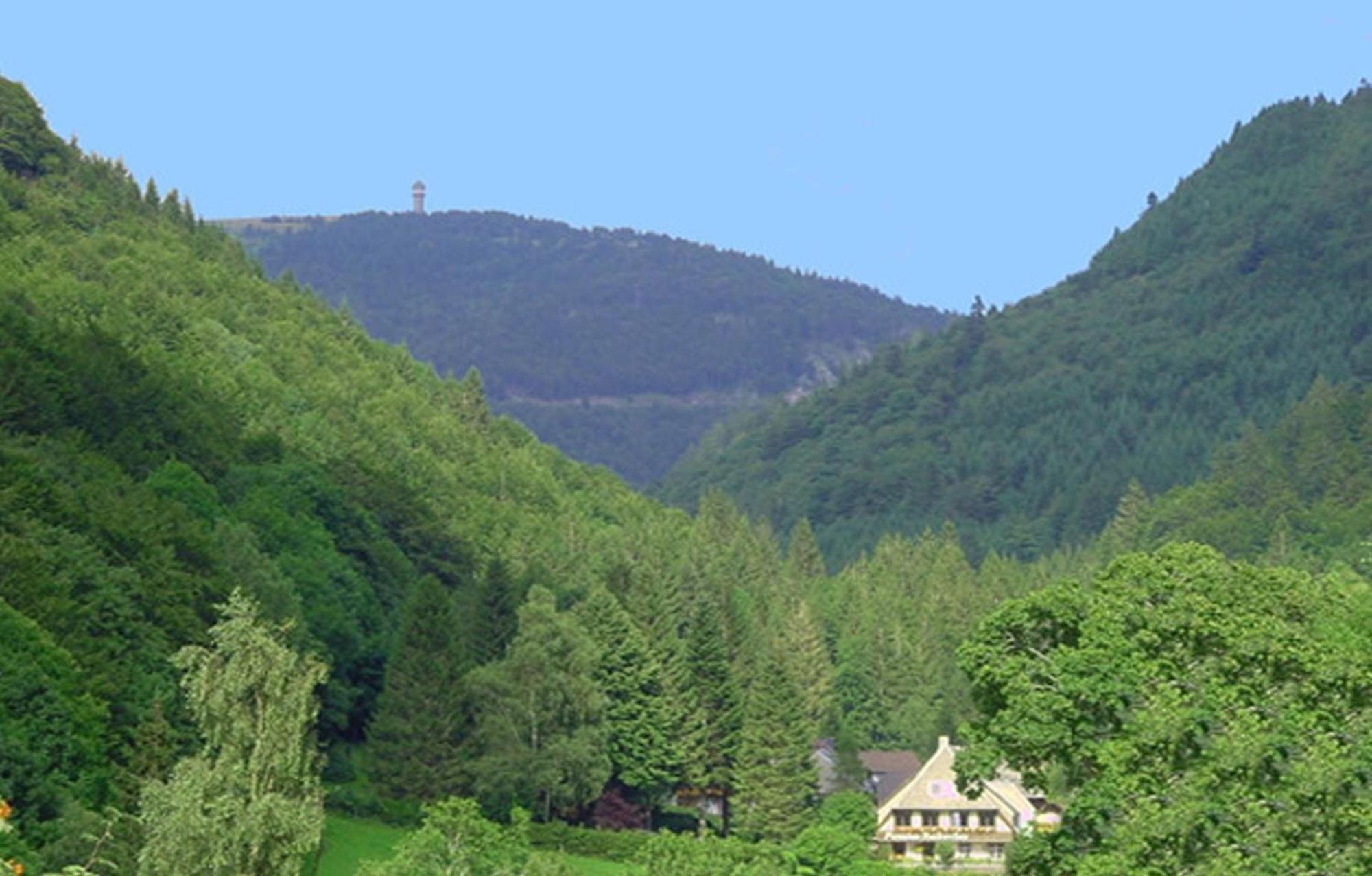 Haus Maria Appartement Todtnau Buitenkant foto