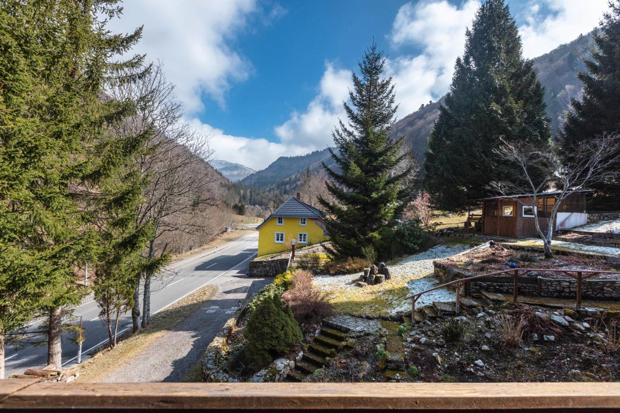 Haus Maria Appartement Todtnau Buitenkant foto