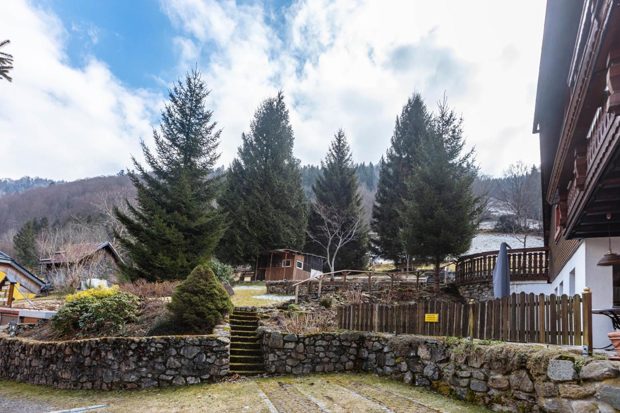 Haus Maria Appartement Todtnau Buitenkant foto