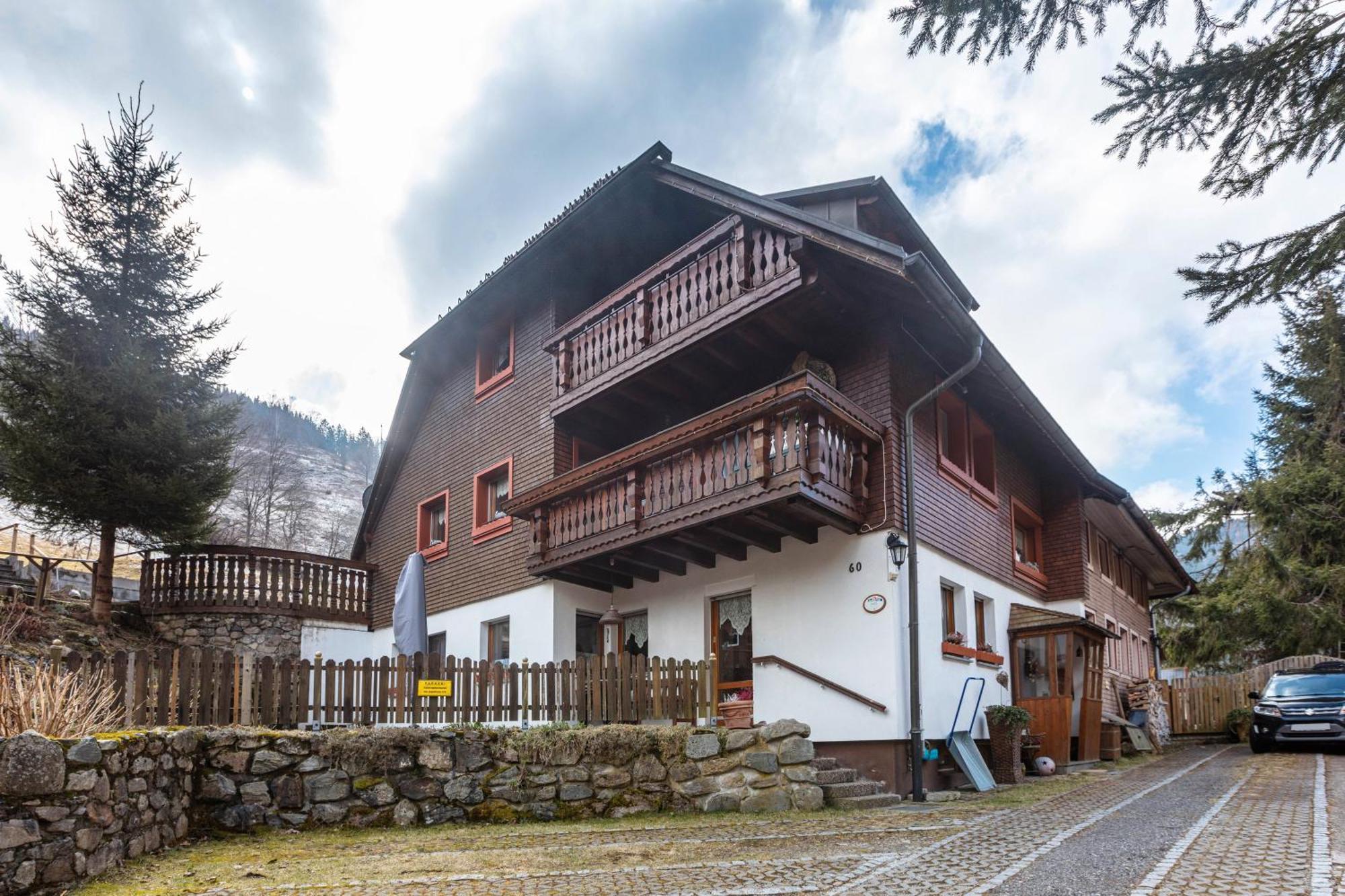Haus Maria Appartement Todtnau Buitenkant foto