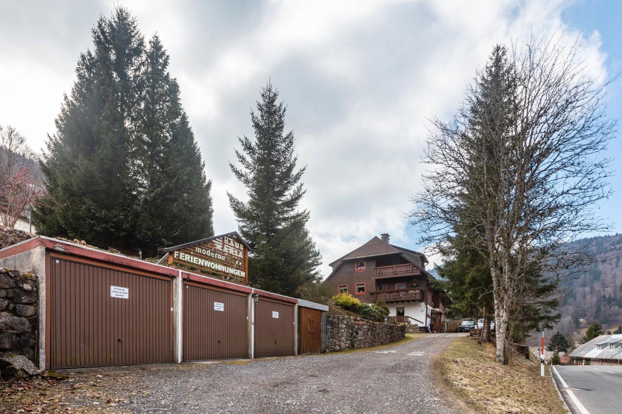 Haus Maria Appartement Todtnau Buitenkant foto